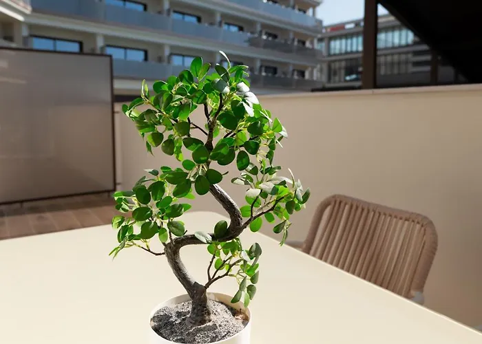 Mila 公寓式酒店 锡切斯